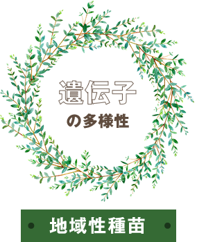 遺伝子の多様性 地域性種苗