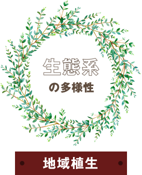 生態系の多様性ーー地域植生