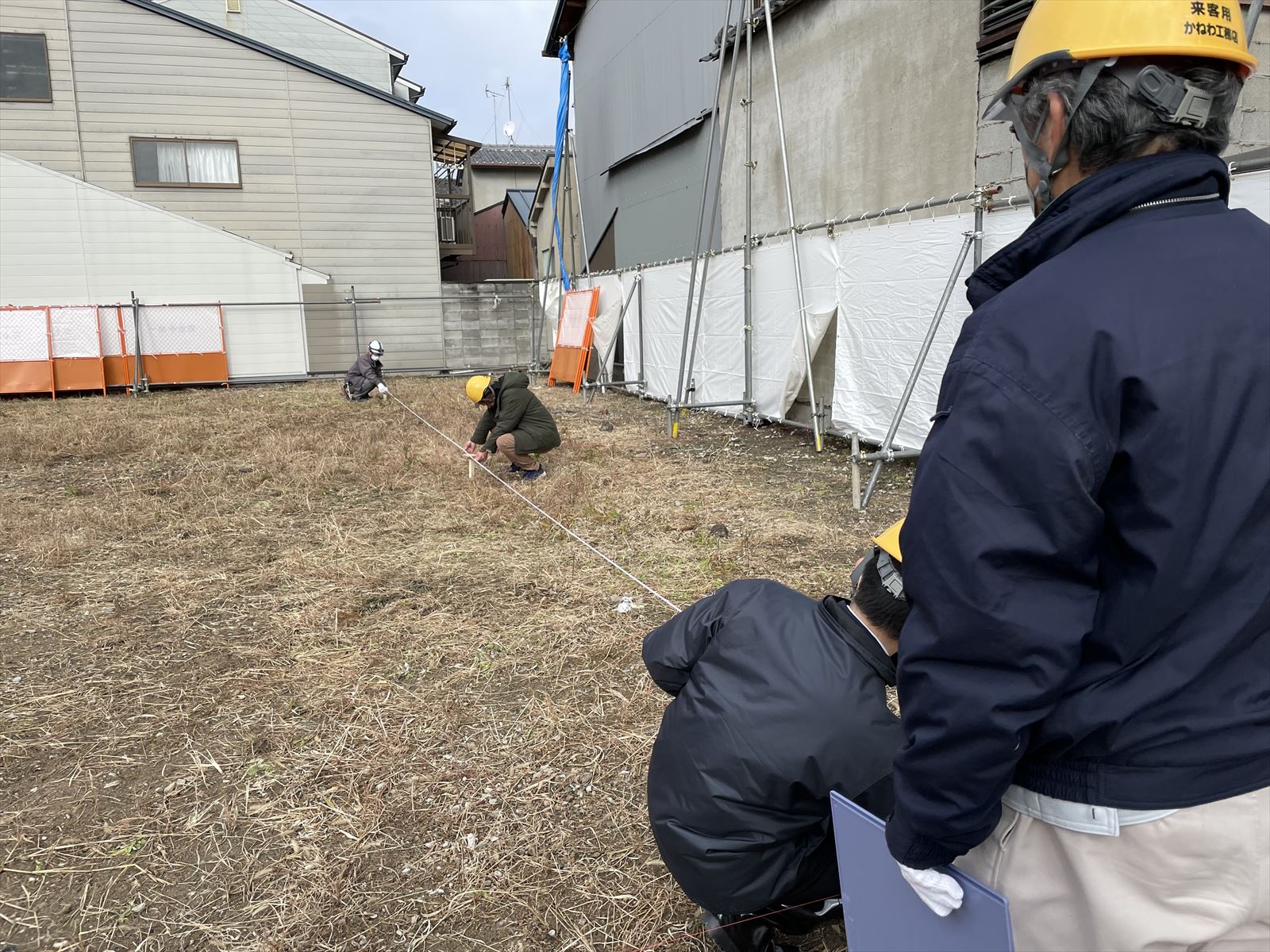 京都二条2月掲載分②縄張り確認状況
