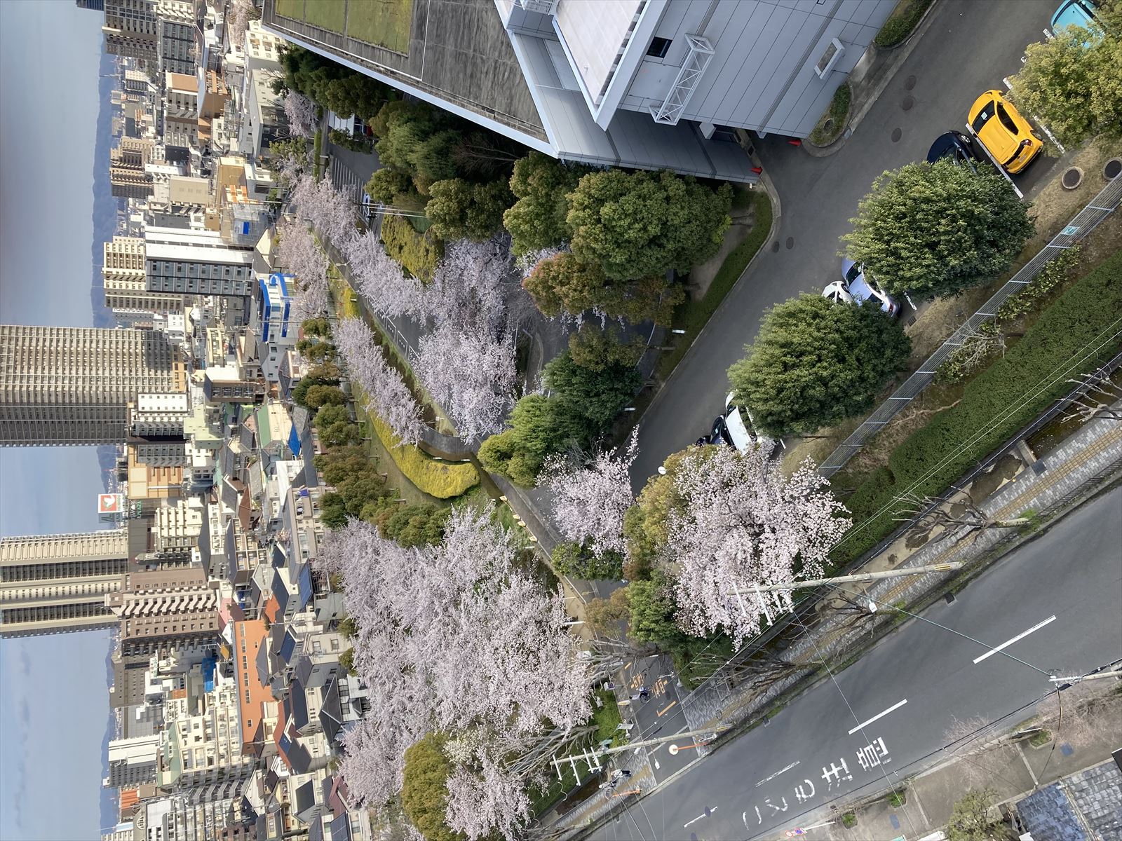 真上町3月度工事写真⑤